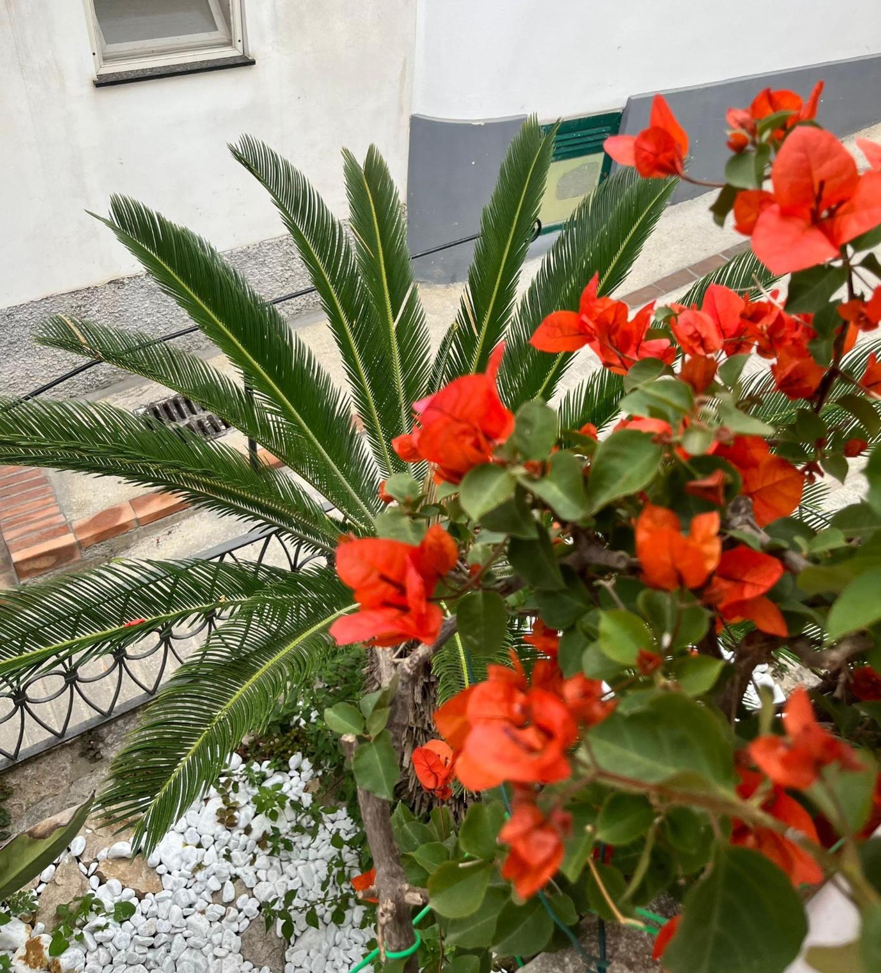Alle Stelle B&B Anacapri Kültér fotó