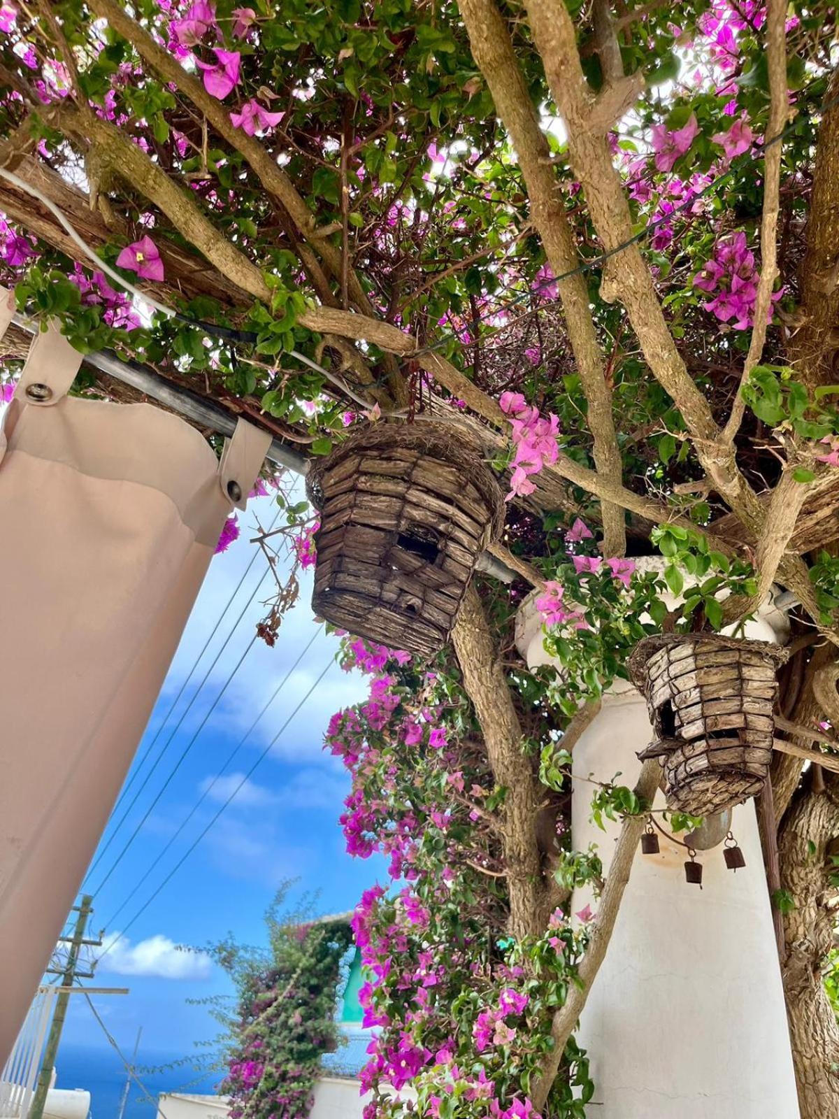 Alle Stelle B&B Anacapri Kültér fotó