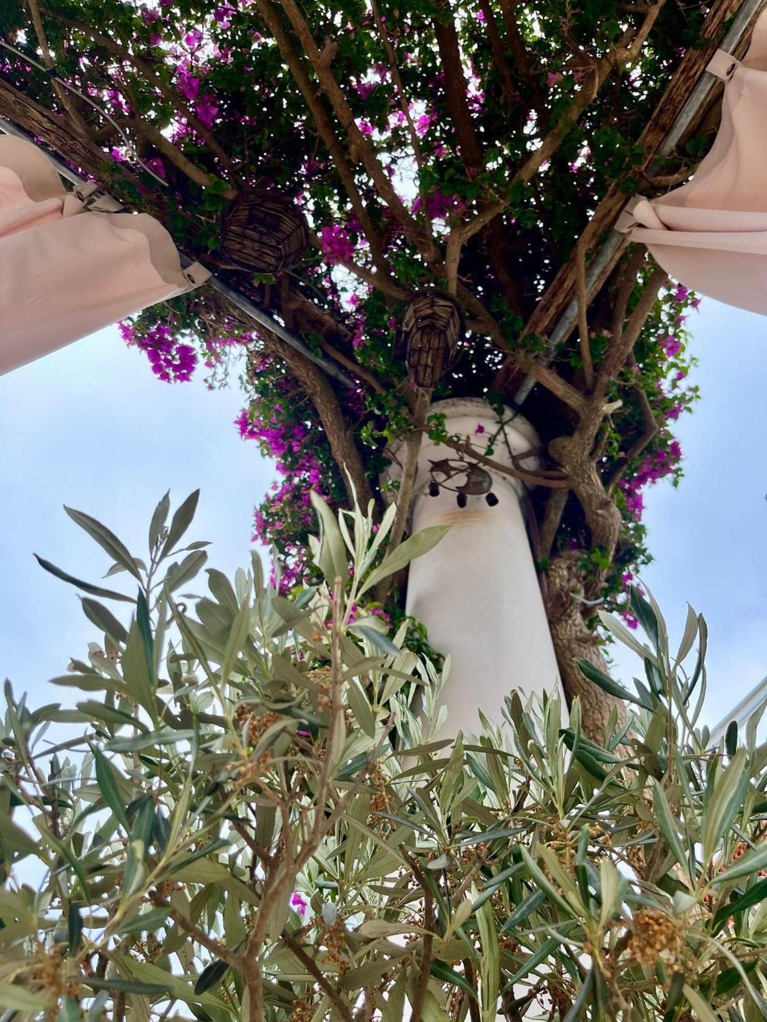 Alle Stelle B&B Anacapri Kültér fotó